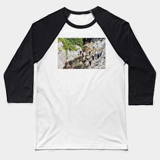 Snares Crested Penguins Baseball T-Shirt